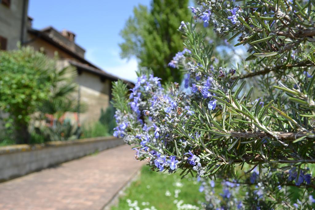 Agriturismo Nestore Esterno foto