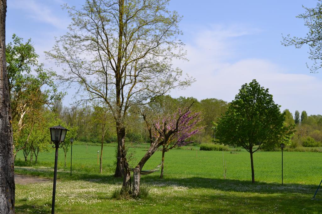 Agriturismo Nestore Esterno foto