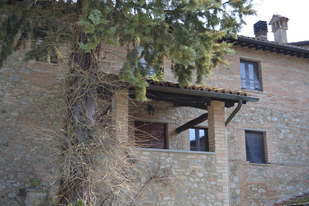 Agriturismo Nestore Esterno foto